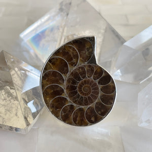 Ammonite Fossil Ring