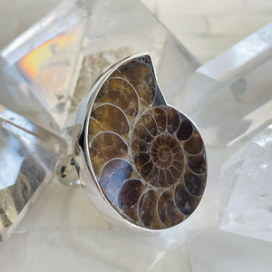 Ammonite Fossil Ring